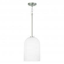  348811BN - 1 Light Pendant