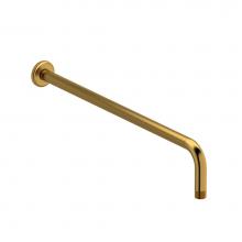  R553BG - 50 cm (20'') shower arm