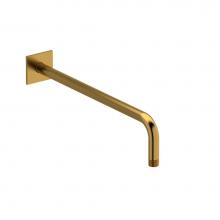  R560BG - 40 cm (16'') shower arm