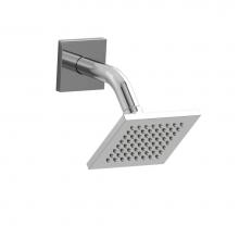  R384C - 10 cm (4'') showerhead with arm