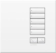 Lutron Electronics QSWE-5BRLI-SC - QSWE-WALLSTN 5BRL INS SC