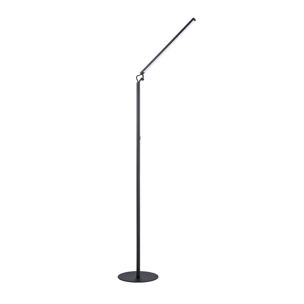 LED FLOOR LAMP