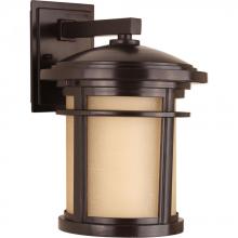 Progress P6085-20 - P6085-20 1-100W MED WALL LANTERN