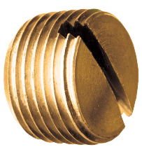 Fairview Ltd 117-B - SLOTTED PLUG