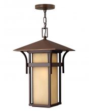  2572AR-LV - Medium Hanging Lantern 12v