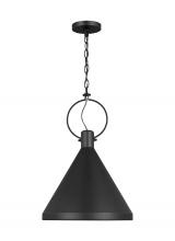 Visual Comfort & Co. Studio Collection 6684901EN3-112 - Lyon Medium One Light Pendant