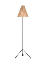 Visual Comfort & Co. Studio Collection AET1171AIBRTN1 - Medium Floor Lamp