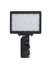 Nuvo 65/620 - LED Flood Light; 150 Watt; 5000K; Bronze Finish